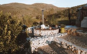 Southern Yurts